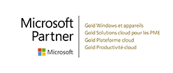 Microsoft-Gold-FR-2